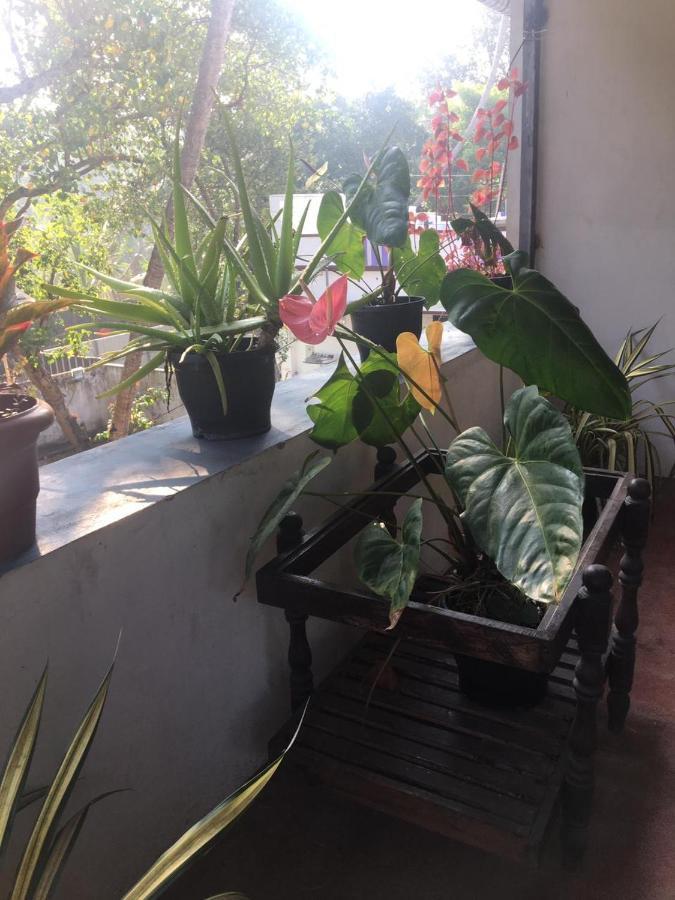 Marari Sibiya Beach Villa มาราริคุลาม ภายนอก รูปภาพ